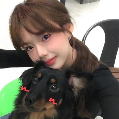 双筒望远镜之兔子的朋友是乌龟