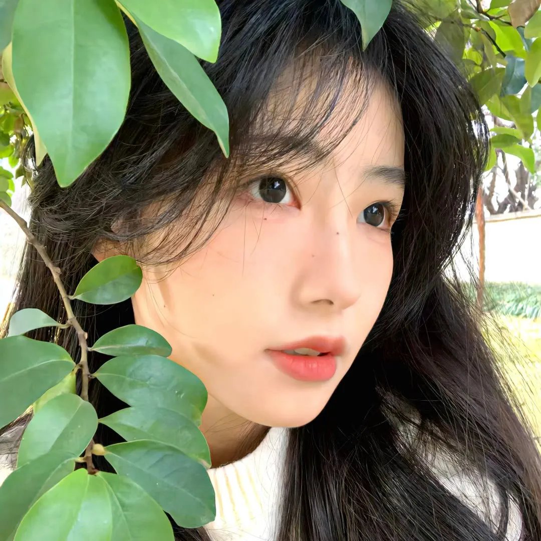 辣妹刺客everyday